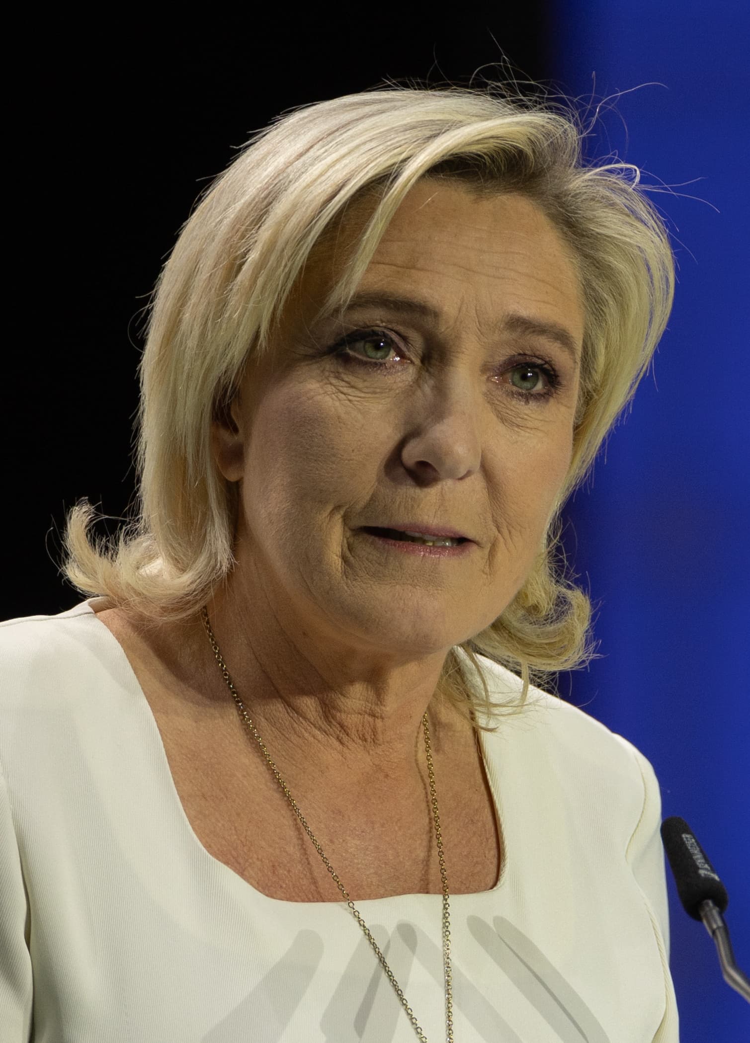 Portrait de Marine Le Pen
